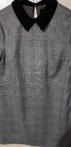 collared dress aqua(exclusively by bloomingdale's)